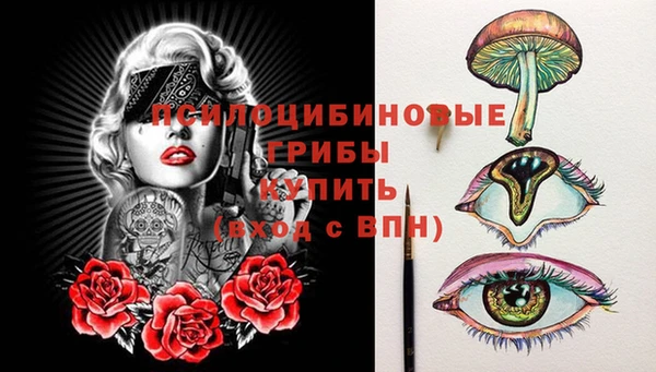 шишки Мегион