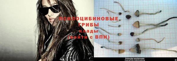 Альфа ПВП Медвежьегорск